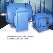 ENERGY EFFICENT MOTORS  IE2 & IE3