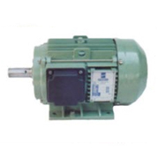 Low Voltage Motors: Primo Series