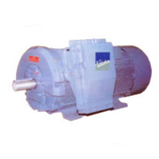 Low Voltage Motors: Spectrum Series