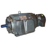 Low Voltage Motors: Wound Close Type Series