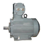 Low Voltage Motors: Flame Proof Series