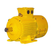 Low Voltage Motors: Crane Duty Cage Motors